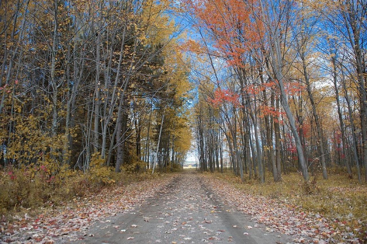 Gite O'bordeleau Luskville Exterior foto